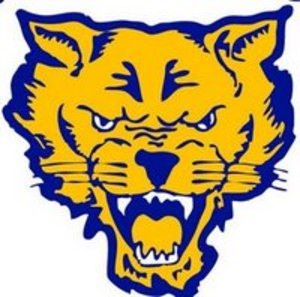 Fvsu Wildcats Logo Image